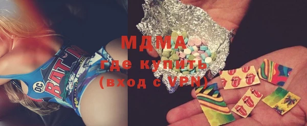 хмурый Щигры