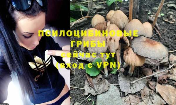 PSILOCYBIN Щучье