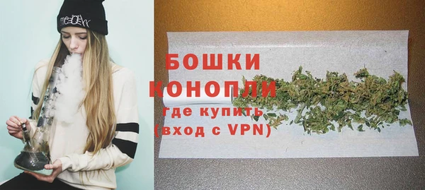 хмурый Щигры