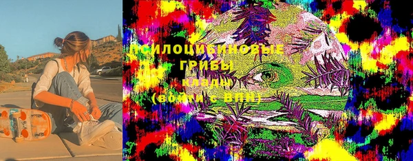 дживик Устюжна